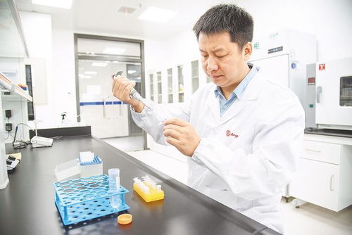 拼字当头创佳绩 生物技术研发的突破与展望