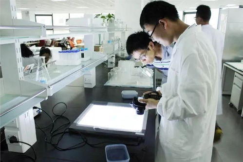 无锡通信技术开发 铸就未来产业支柱，三分天下有其一