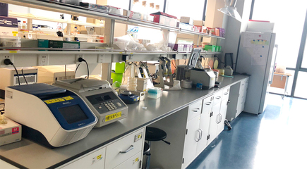 生物技术研发 驱动生命科学创新的核心引擎