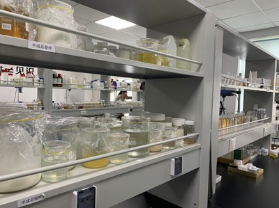 小康梦圆 | 留学归国创业者郑春阳 以“酶”为笔，在通信技术开发中书写生物企业的创新故事