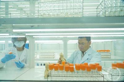 科技创新引领绿色发展 特种蚕丝、杨树新品种与长江生态保护的协同探索