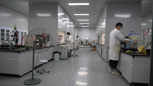 千帆竞发浪潮涌 三门以通信技术开发为抓手，全力打造接沪融甬先行区